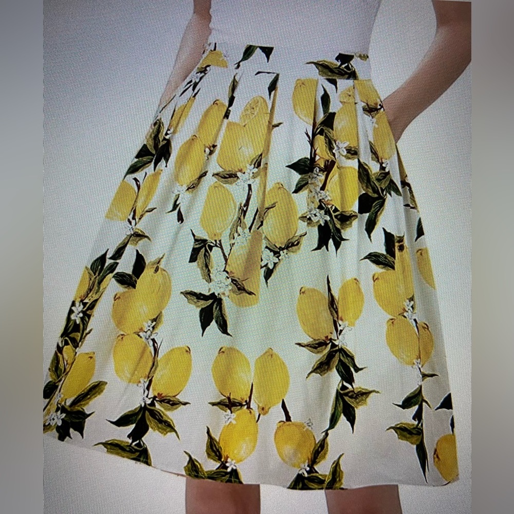 Taydey A-Lined Pleated Vintage Skirt